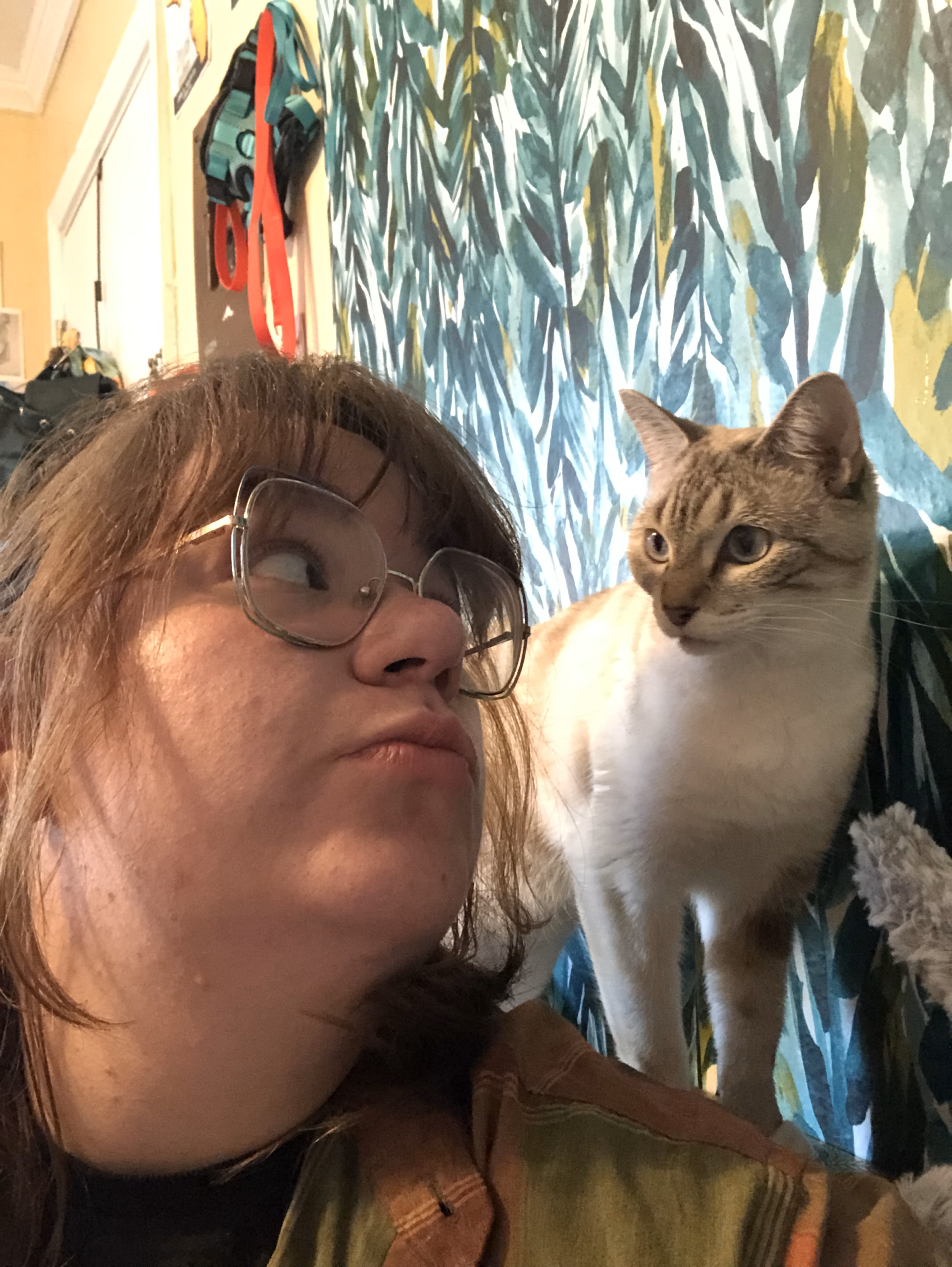 About addy and pretzel